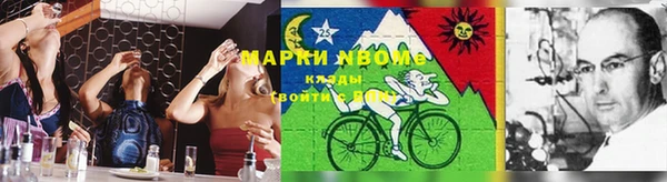 хмурый Алексеевка