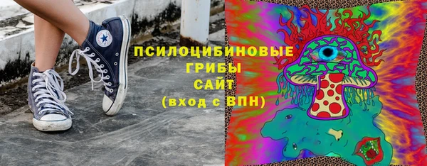 хмурый Алексин