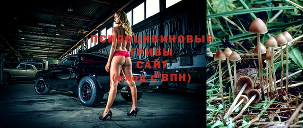 прущие крисы Нижневартовск