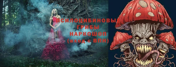 дурь Алзамай