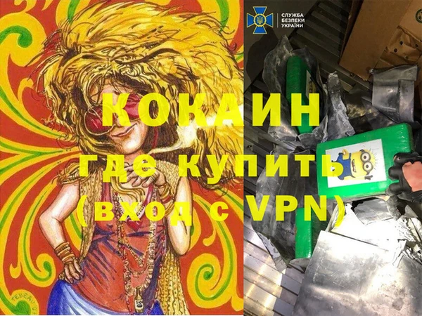 дурь Алзамай