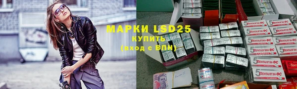 хмурый Алексин